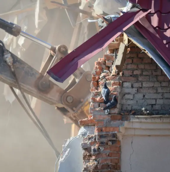 Bagger reißt Gebäude ab, dichte Staubwolke, Tauben auf zerfallener Ziegelmauer unter rotem Dach.
