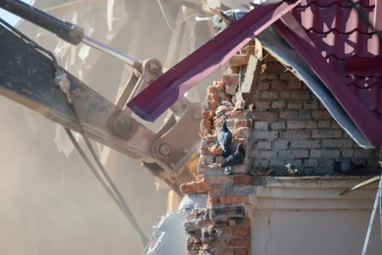 Bagger reißt Gebäude ab, dichte Staubwolke, Tauben auf zerfallener Ziegelmauer unter rotem Dach.