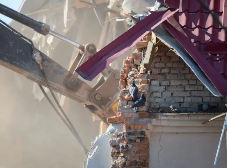 Bagger reißt Gebäude ab, dichte Staubwolke, Tauben auf zerfallener Ziegelmauer unter rotem Dach.