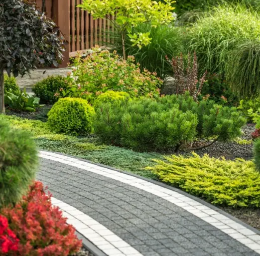 Geschwungener Gartenweg aus Pflastersteinen führt durch ein farbenfrohes Gartenbeet mit Heuchera und Sträuchern.