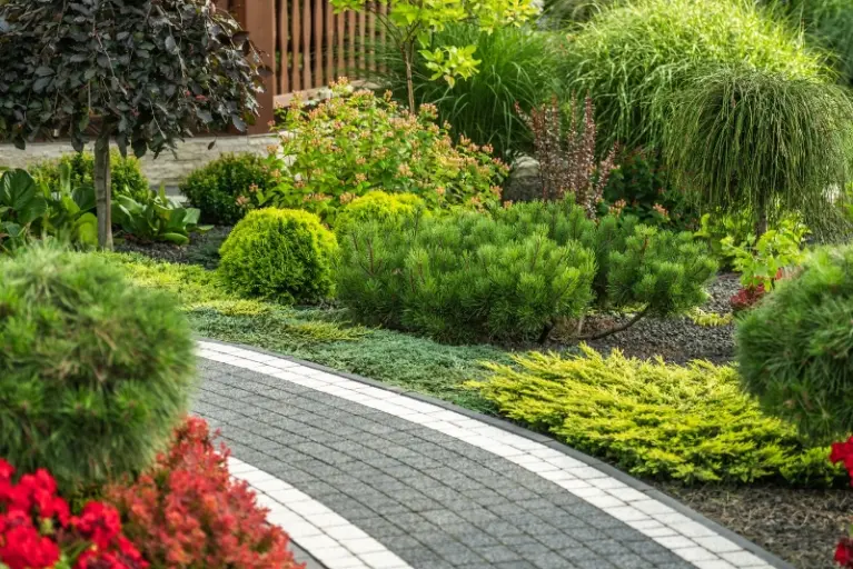 Geschwungener Gartenweg aus Pflastersteinen führt durch ein farbenfrohes Gartenbeet mit Heuchera und Sträuchern.