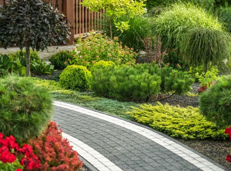 Geschwungener Gartenweg aus Pflastersteinen führt durch ein farbenfrohes Gartenbeet mit Heuchera und Sträuchern.